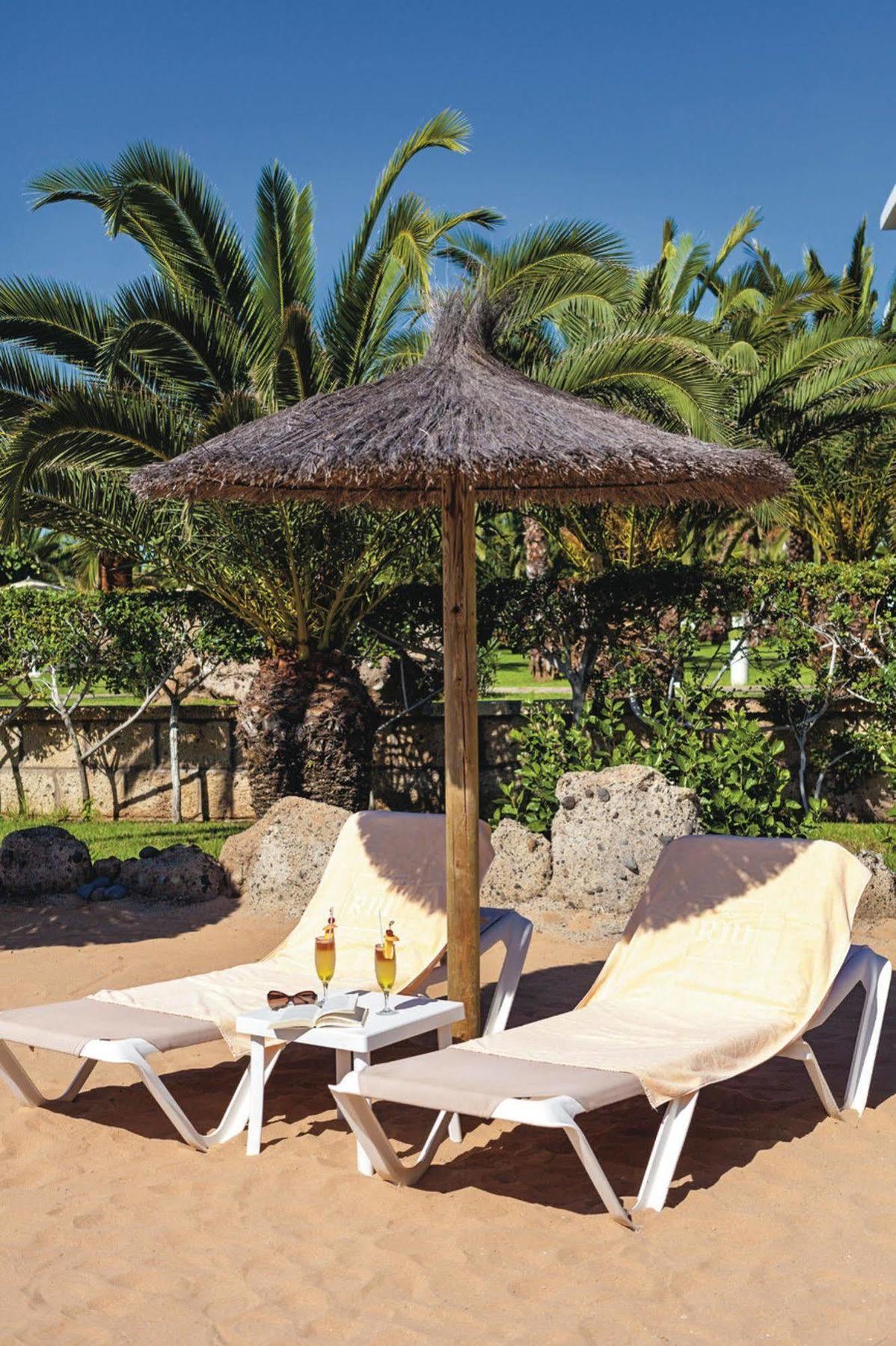 Hotel Riu Arecas (Adults Only) Адехе Экстерьер фото